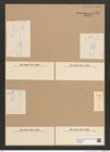 Diatomeae indet. Zeichnungen Sammlung Grunow Nr. 6600 (NHMW-BOT-W0375353)